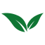 Leaf Icon